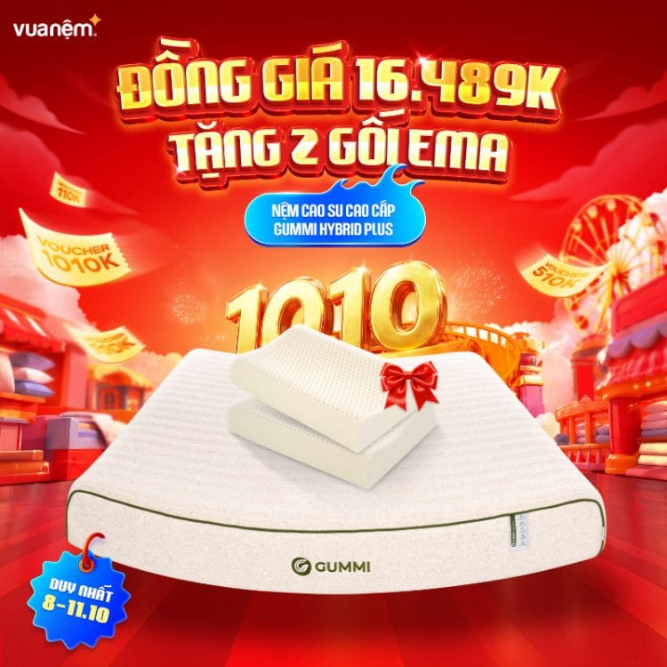 Nệm cao su cân bằng nhiệt 3in1 Gummi Hybrid Plus