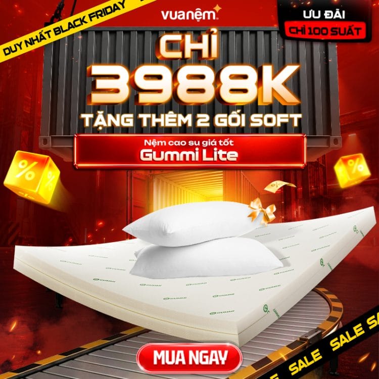 Nệm cao su giá tốt Gummi Lite
