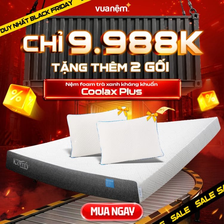 Nệm foam trà xanh kháng khuẩn iComfy Coolax Plus