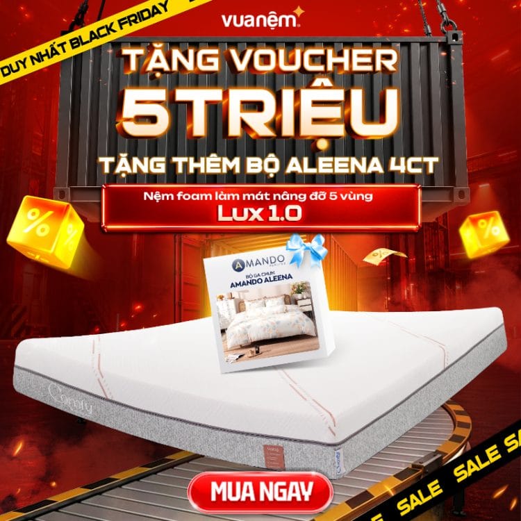 Nệm foam làm mát nâng đỡ 5 vùng Comfy Lux 1.0