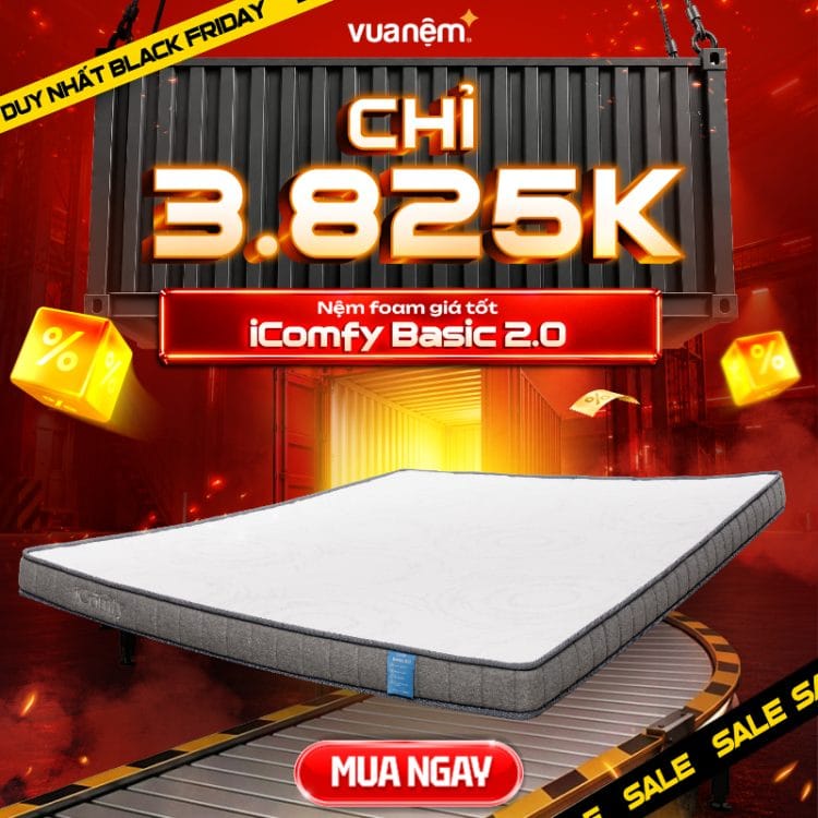 Nệm foam giá tốt iComfy Basic 2.0