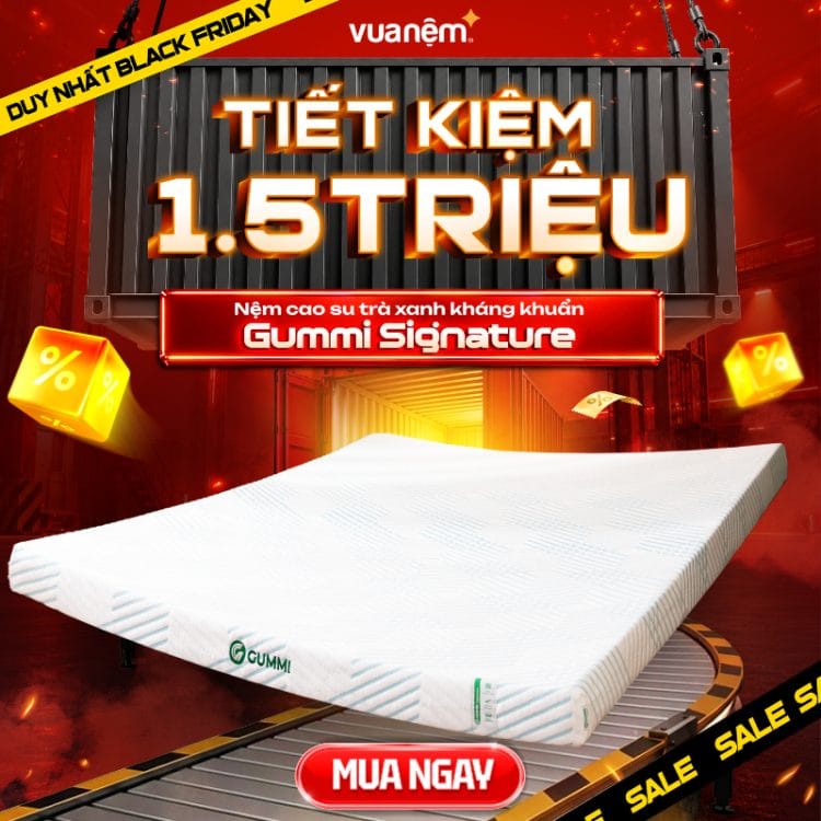 Nệm cao su trà xanh kháng khuẩn Gummi Signature