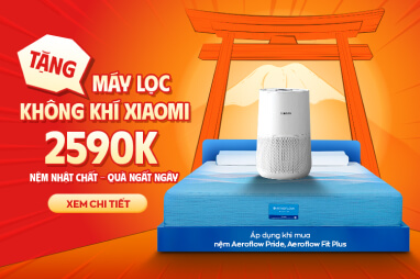 Máy lọc không khí Xiaomi 2590Kh