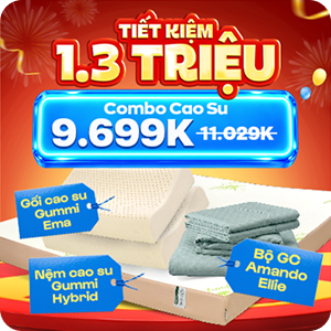 Combo Nệm Foam Điều Hòa