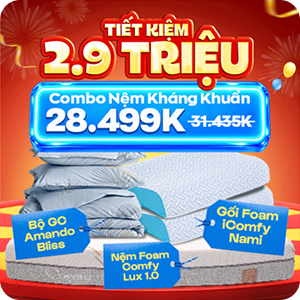 Combo Nệm Foam Kháng Khuẩn