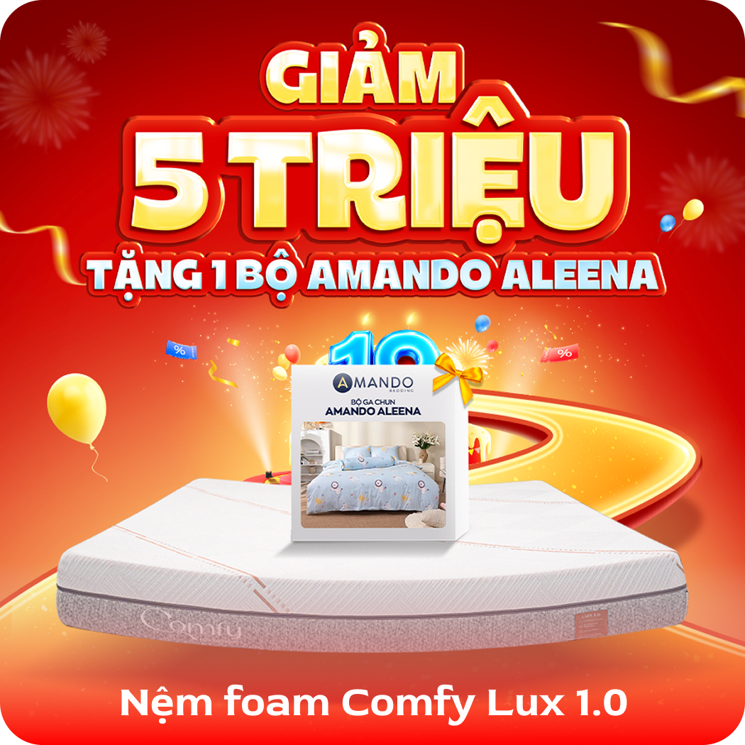 Nệm foam Comfy Lux 1.0
