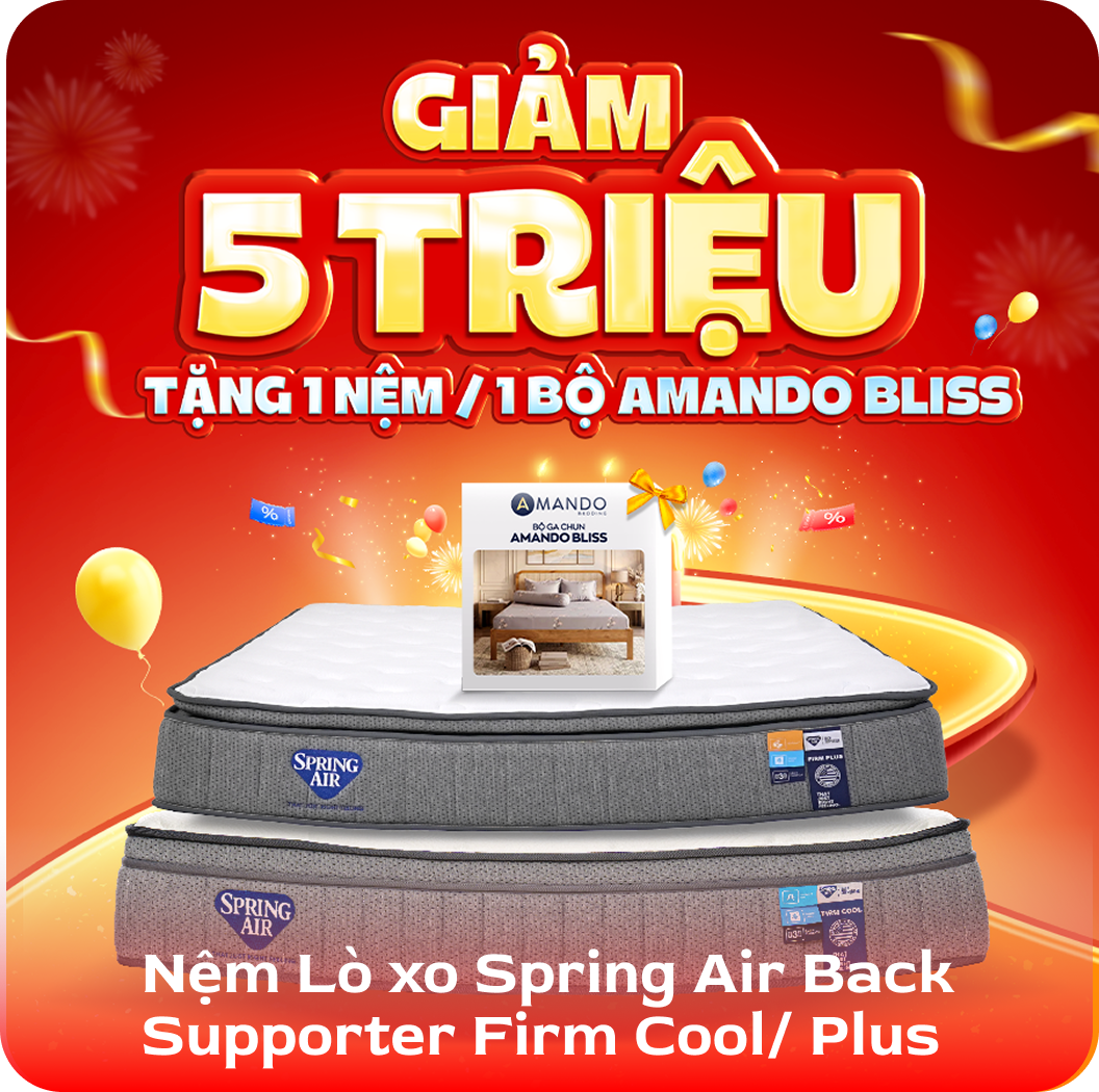 Nệm lò xo Spring Air Back Supporter