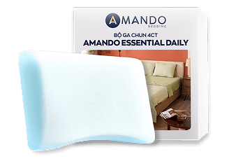 Chăn 4 mùa & Gối công thái học