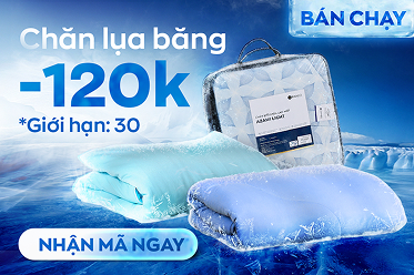 Tặng nồi hấp 3 tầng BEAR