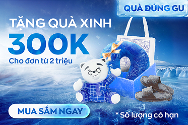 Tặng gối cao su vina bedding