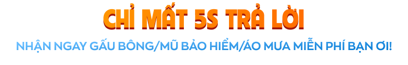 Sale vua nệm