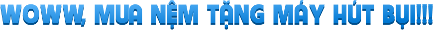 Tặng free gối tựa cổ cao cấp 300k