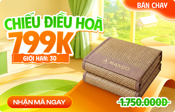 Chiếu điều hoà 799K