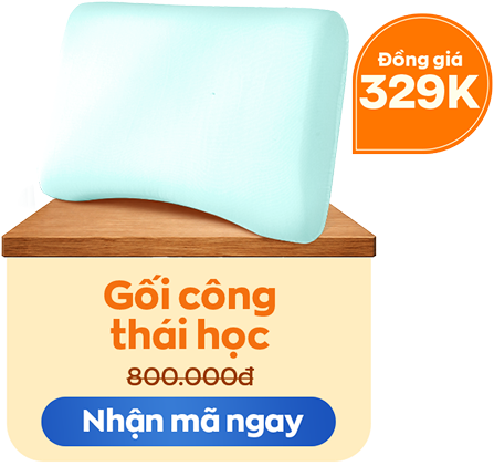 Gối công thái học đồng giá 329K