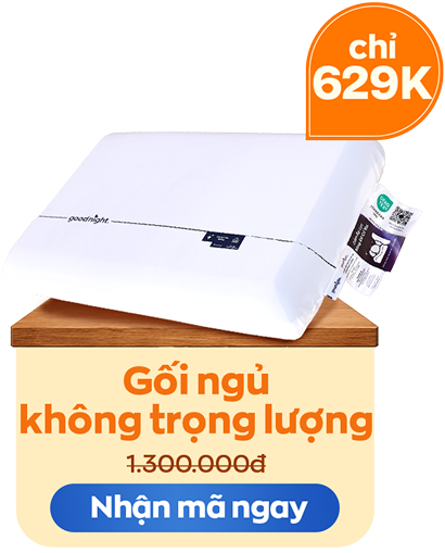 Gối ngủ không trọng lượng chỉ 629K