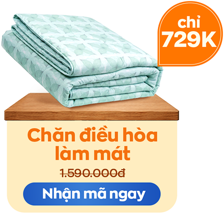 Chăn nhung tuyết chỉ 829K