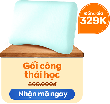 Gối công thái học đồng giá 329K