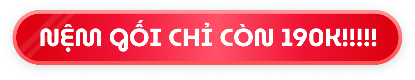 Nệm gối chỉ còn 190K