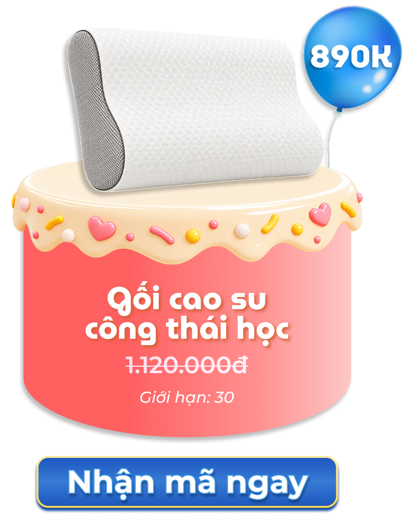 Gối cao su công thái học 890K