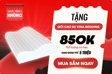 Tặng gối cao su vina bedding