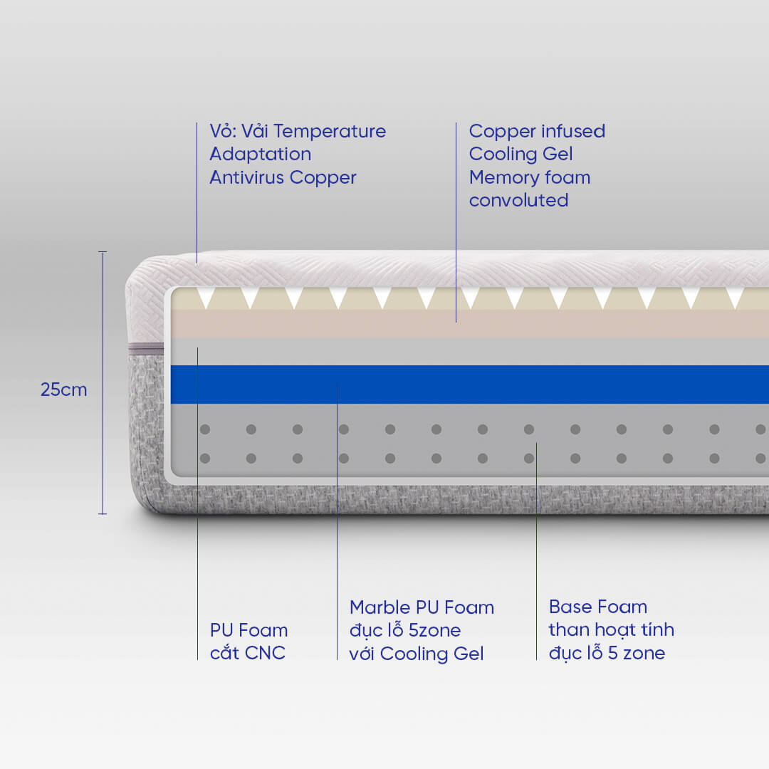 Cấu tạo nệm foam Comfy Lux 3.0 cao cấp tương thích toàn diện