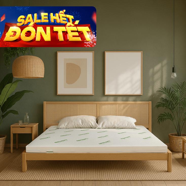 Nệm cao su thiên nhiên Gummi Classic thế hệ mới dày 5/10/15cm