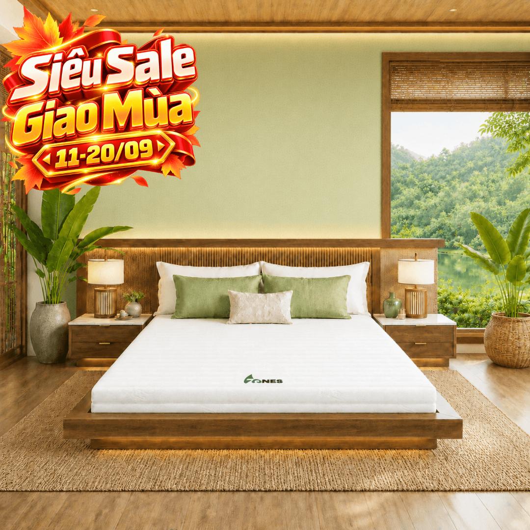 Nệm cao su Gummi 7zones nhập khẩu dày 12cm
