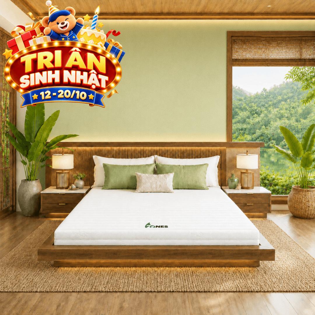 Nệm cao su Gummi 7zones nhập khẩu dày 12cm