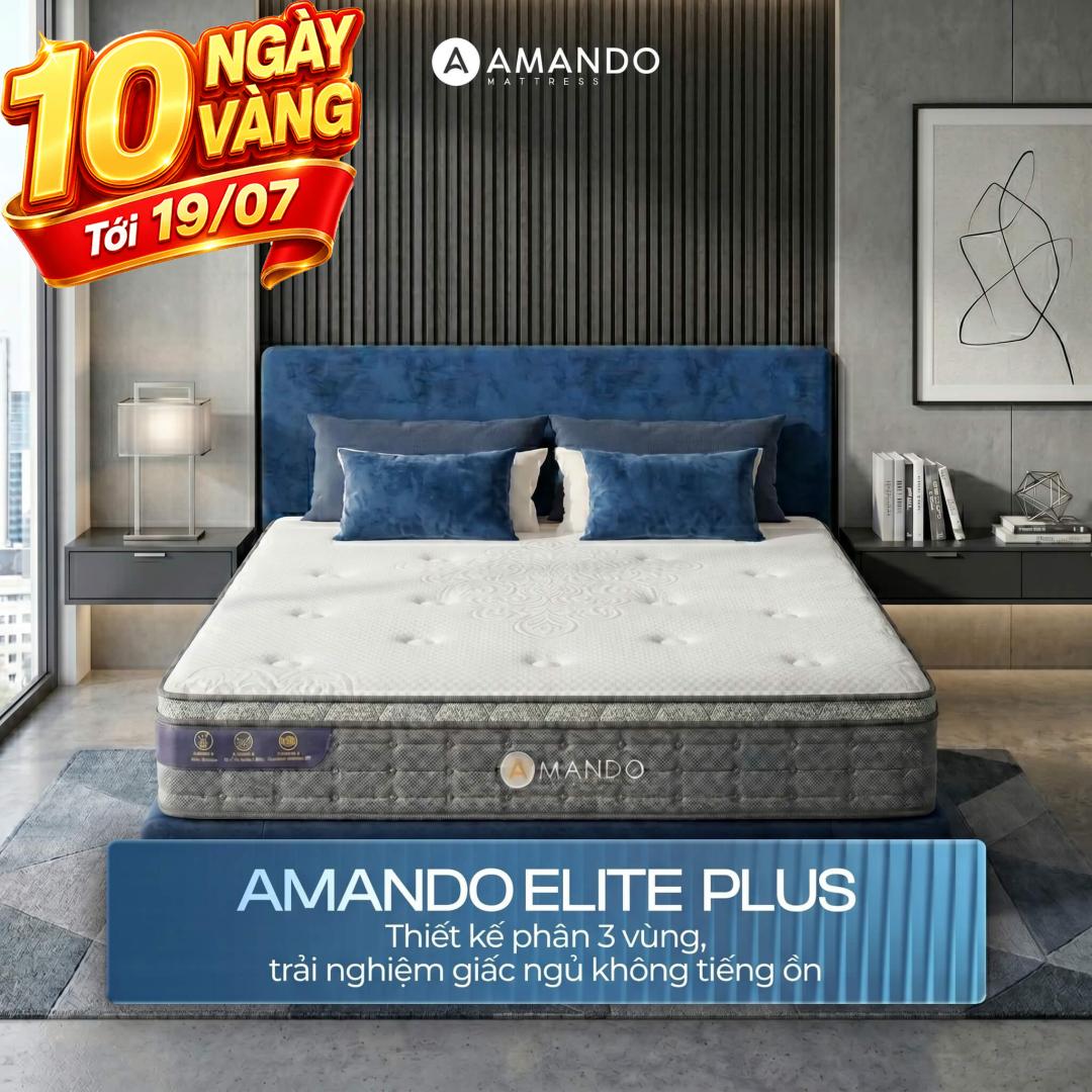 Nệm lò xo túi độc lập Amando Elite Plus ngủ mát, êm sâu dày 25cm