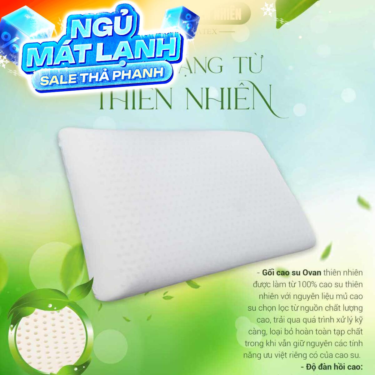 Gối Cao su Dreamland Ovan