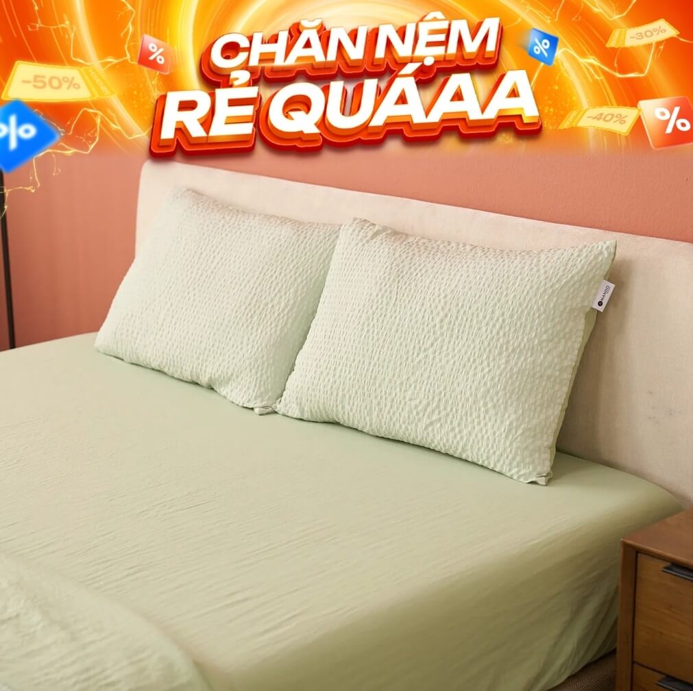 Bộ ga chun Amando Essential Daily