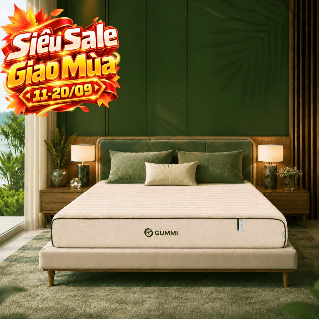 Nệm cao su cân bằng nhiệt 3in1 Gummi Hybrid Plus