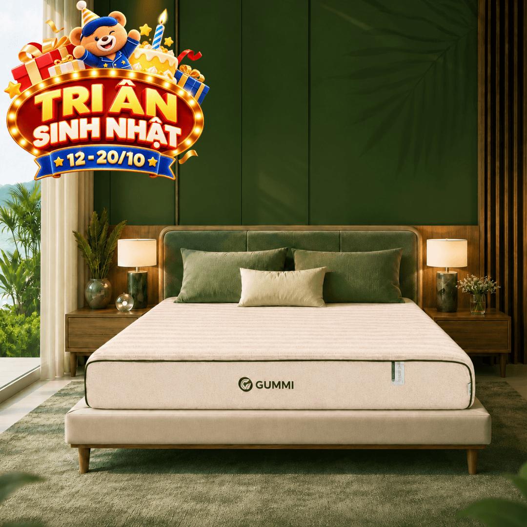 Nệm cao su cân bằng nhiệt 3in1 Gummi Hybrid Plus