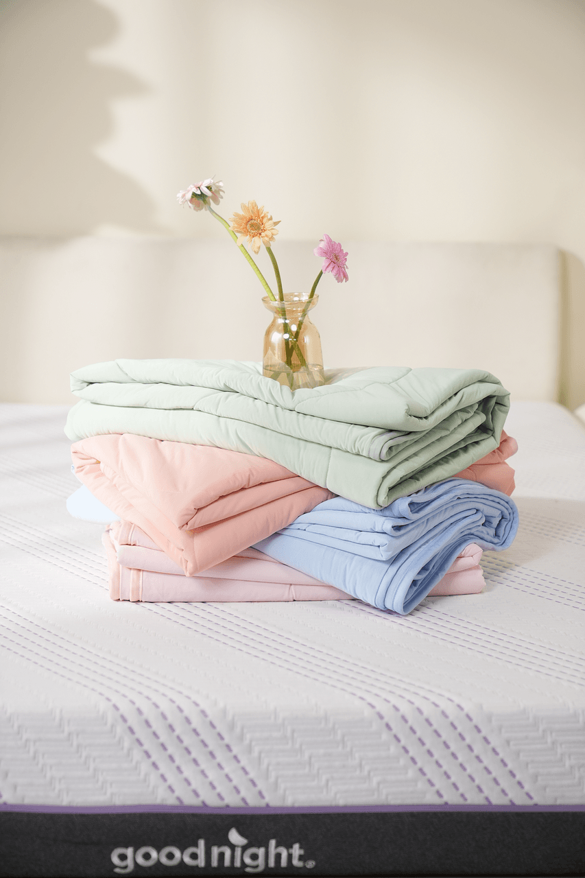 Chăn Goodnight Snow Silk Elite