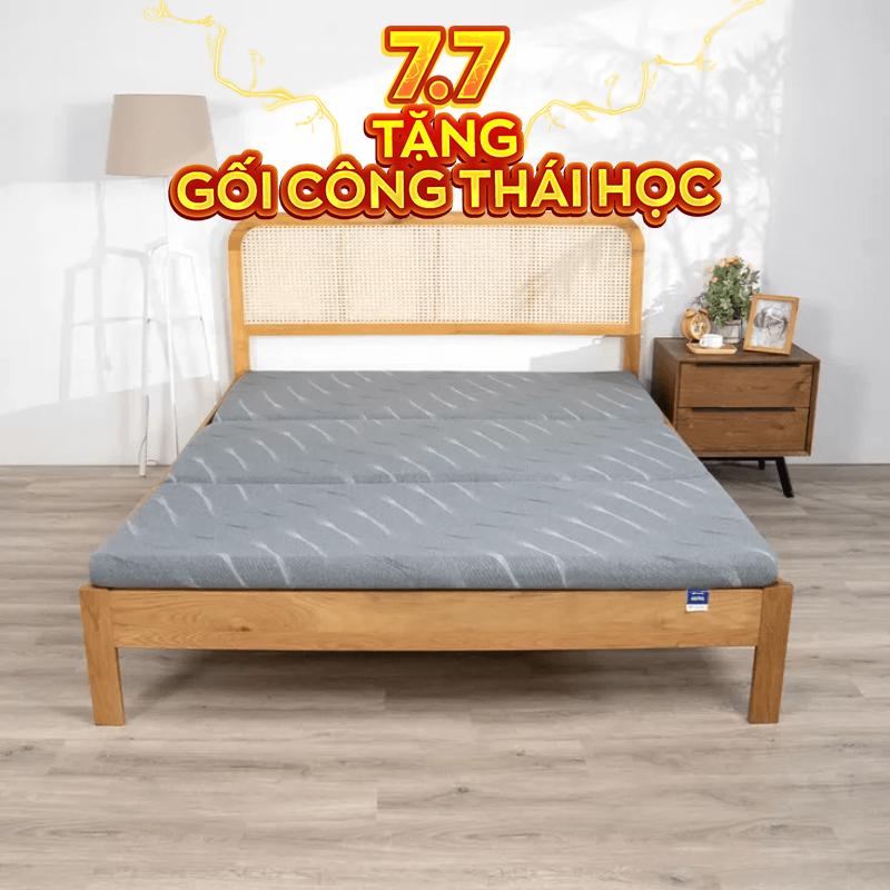 Nệm foam Goodnight Akita gấp 3 dày 8cm - Thumbnail