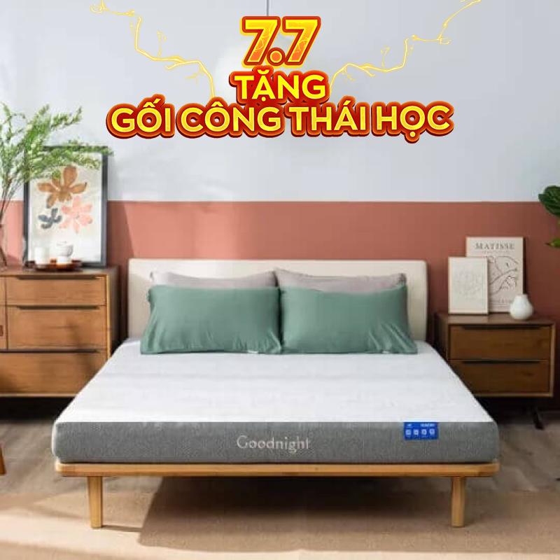 Nệm foam Goodnight Hachi giảm áp lực dày 15cm - Thumbnail