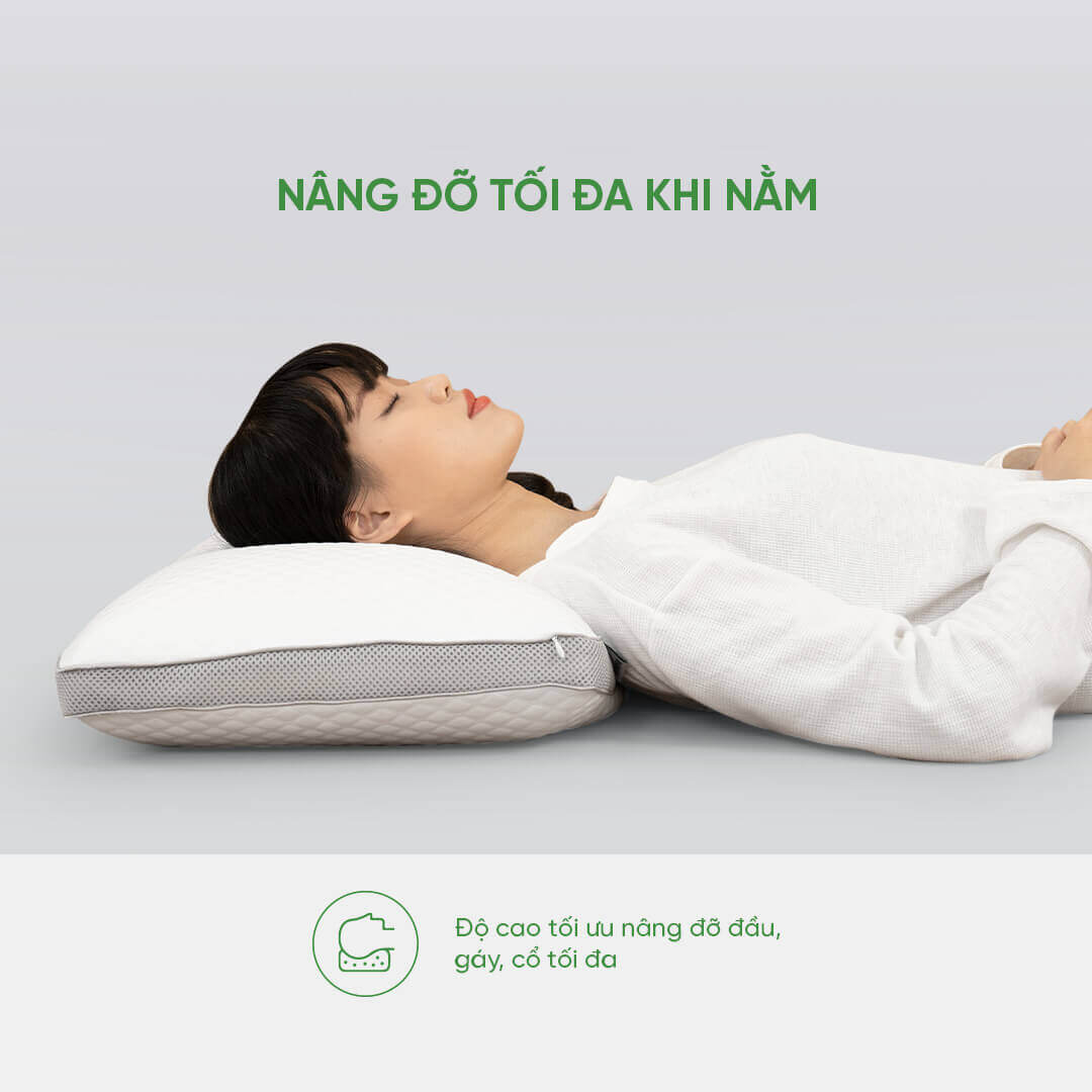 Gối cao su Gummi Standard 100% thiên nhiên thoáng khí - Thumbnail