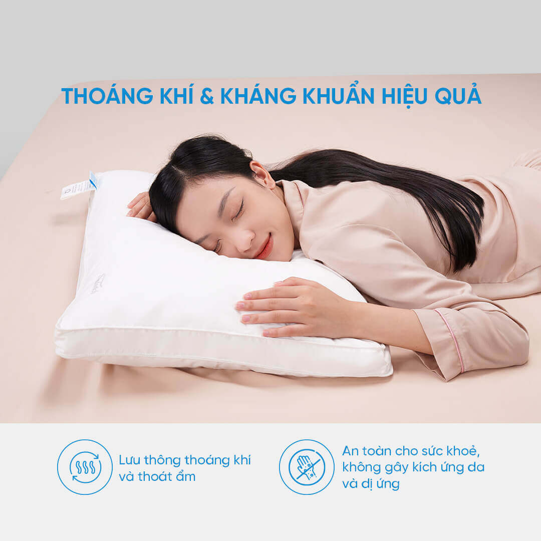 Gối lông vũ Doona Sandwich cao cấp kháng khuẩn - Thumbnail